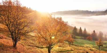 Wir wünschen Ihnen eine gesunde und schöne Herbstzeit
