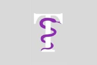 Logo Praxis Galina Tchirkov